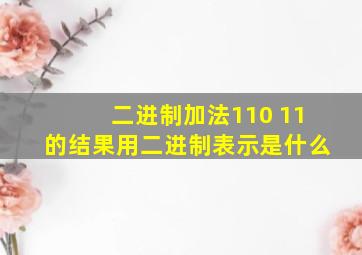 二进制加法110 11的结果用二进制表示是什么